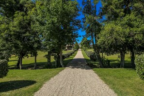 Un chemin de gravier bordé d’arbres et d’herbe, qui mène à un bâtiment situé au loin.