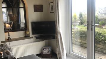 Smart TV, fireplace, books, printers