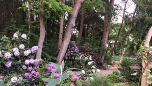 Un giardino con diverse piante fiorite, una panchina di legno e una casetta per gli uccelli.