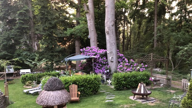Un giardino curato con un gazebo, una mangiatoia per uccelli in paglia e diverse piante e alberi.