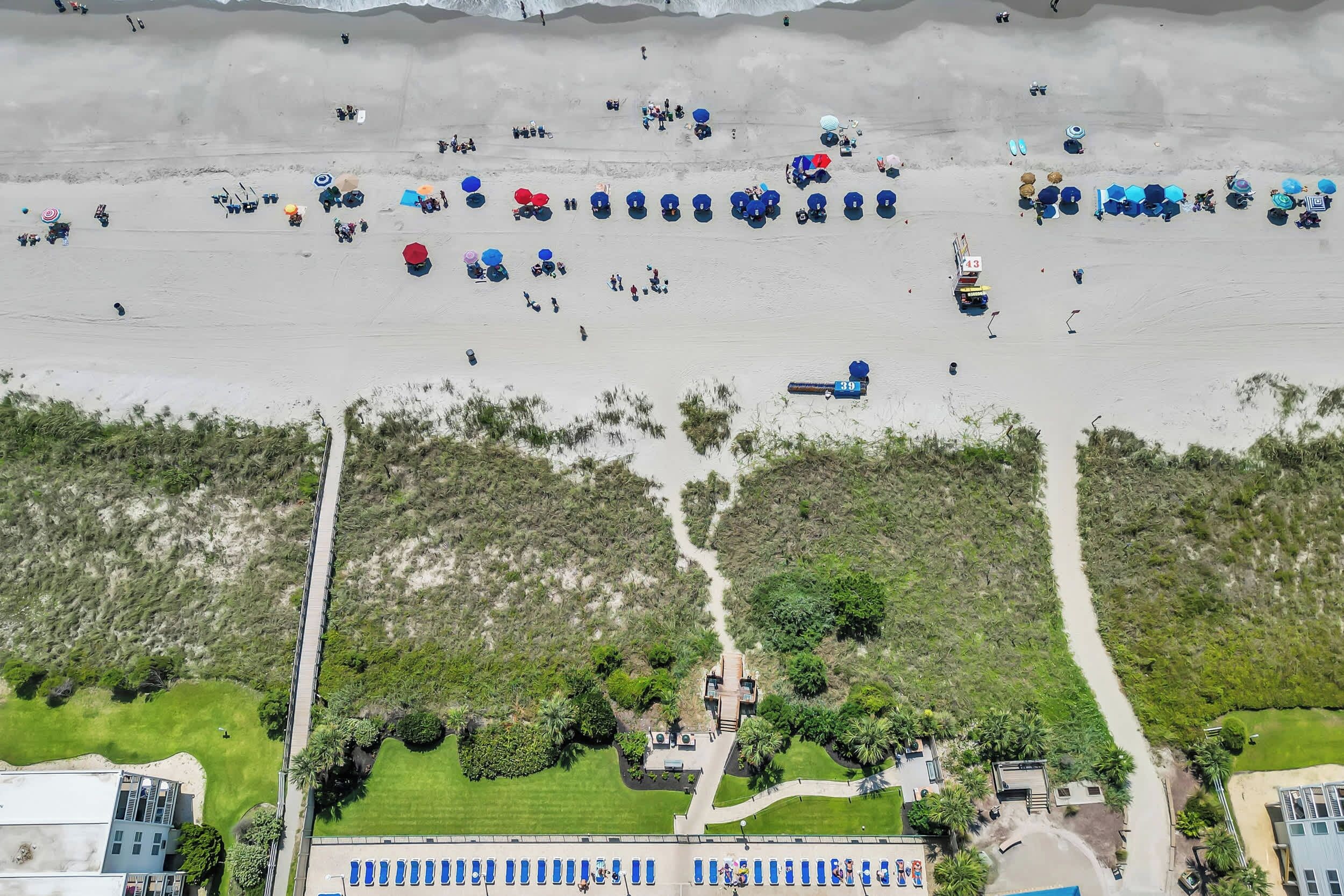 An aerial view of a beach with rows of sun loungers and umbrellas, a pathway leading to a building, and greenery surrounding the area.