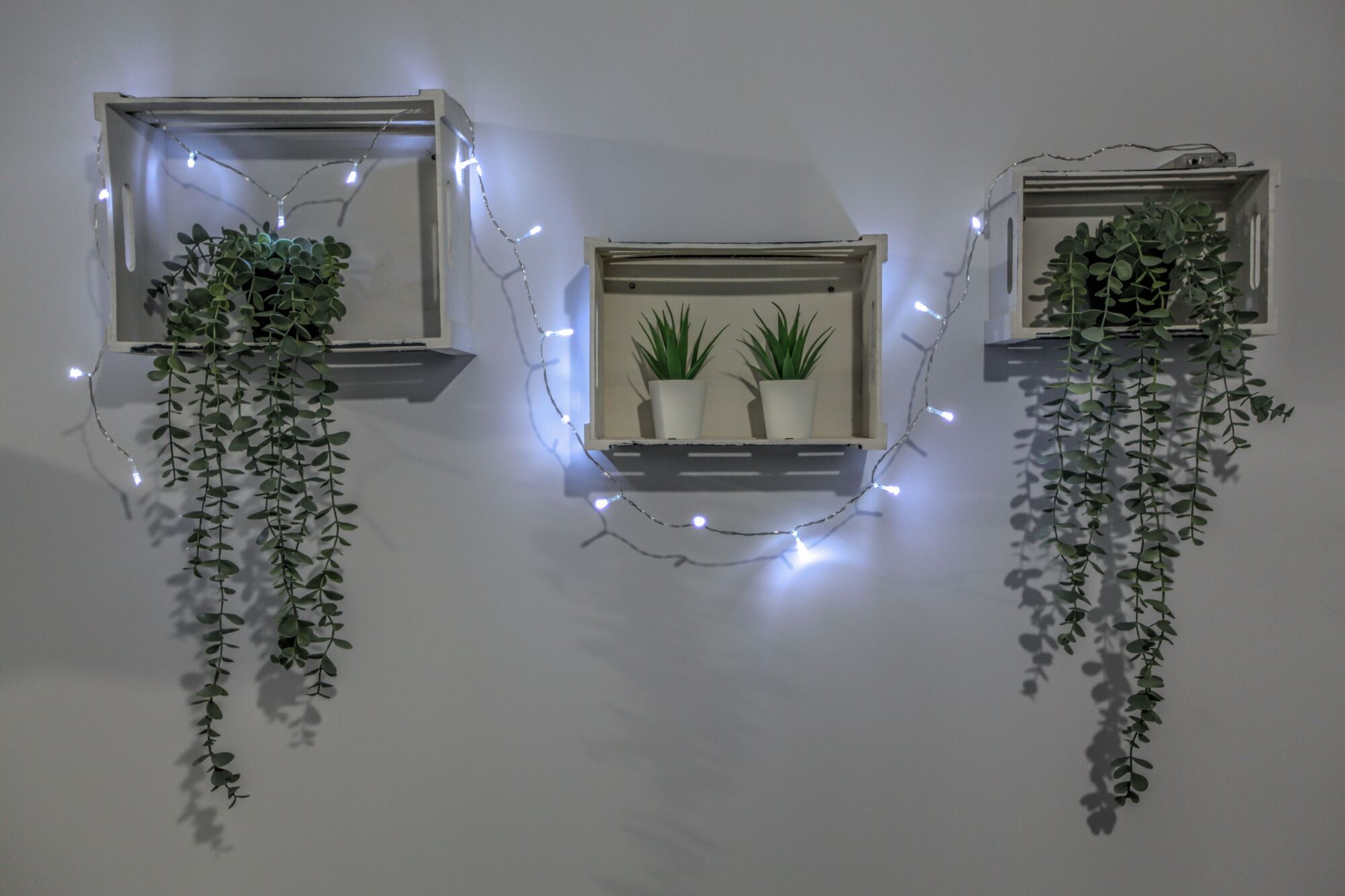 Three wall-mounted planters with potted plants and string lights, arranged in a row on a plain wall.