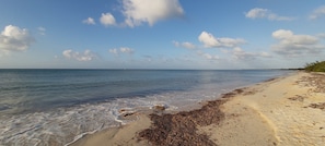 Plage à proximité, chaises longues, serviettes de plage