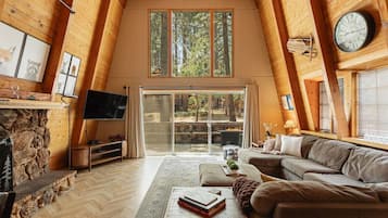 TV, fireplace, video games, books