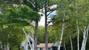 A wooden boardwalk leading to a house surrounded by trees.