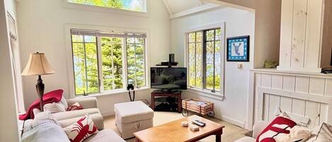 TV connectée, lecteur de DVD, livres, vidéothÚque