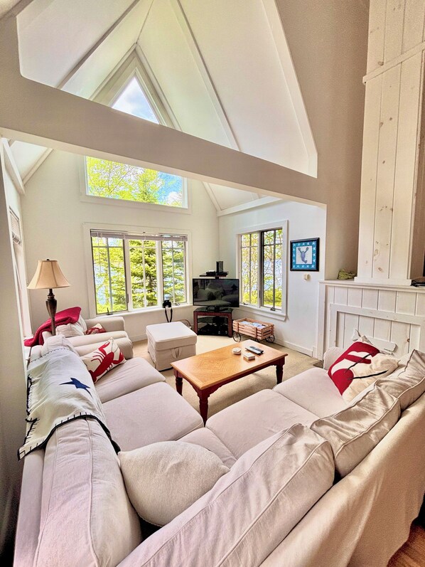 Smart TV, DVD player, books, video library