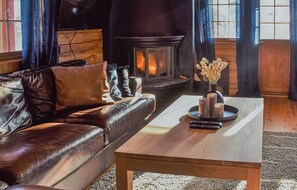 Fireplace, stereo - Cozy home in Hovden i Setesdal (Hovden i Setesdal)