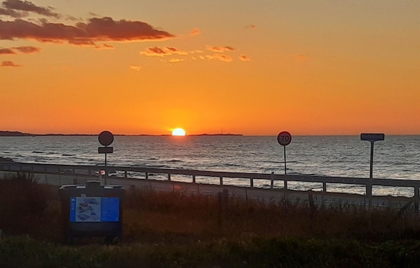 Sekalaista