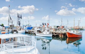 Marina