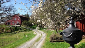 A rural landscape with a gravel path leading to a red barn, a flowering tree, and a black urn on a pedestal. - Nice home in Gusum with lake view (Gusum)