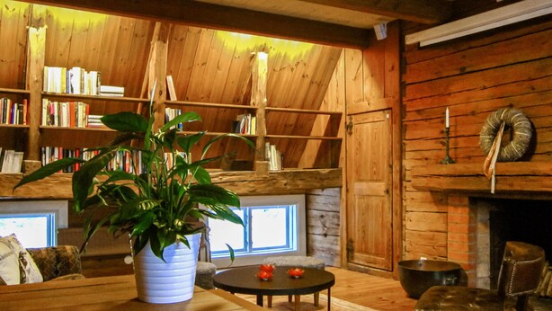 A cozy room with wooden walls, a bookshelf, a fireplace, and a potted plant. - Nice home in Gusum with lake view (Gusum)