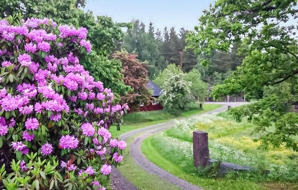Boendeområde
