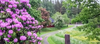 Nice home in Gusum with lake view