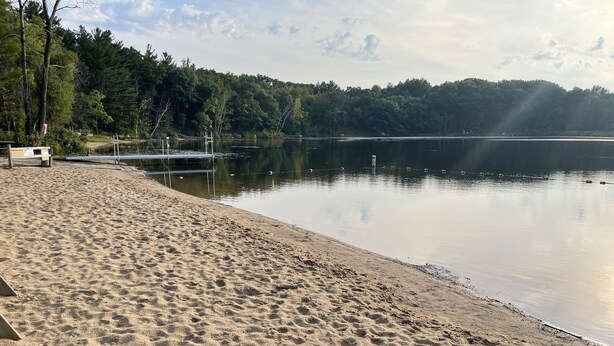 En sandstrand med ett lugnt sjölandskap, omgiven av träd.
