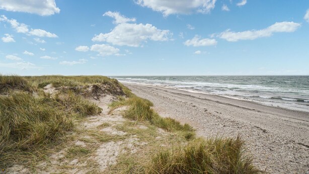 Ein Strand mit einem sandigen Pfad, der zum Wasser führt, unter blauem Himmel.