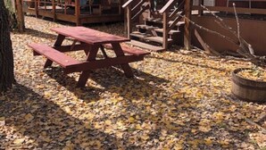 A rustic wooden building with a covered porch, picnic table, and a flagpole.