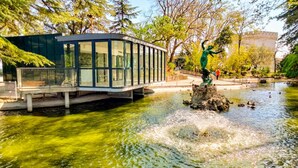Un ponte di vetro sopra uno stagno con delle anatre, circondato da alberi e una statua.