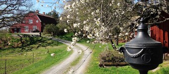 Awesome home in Gusum with sauna