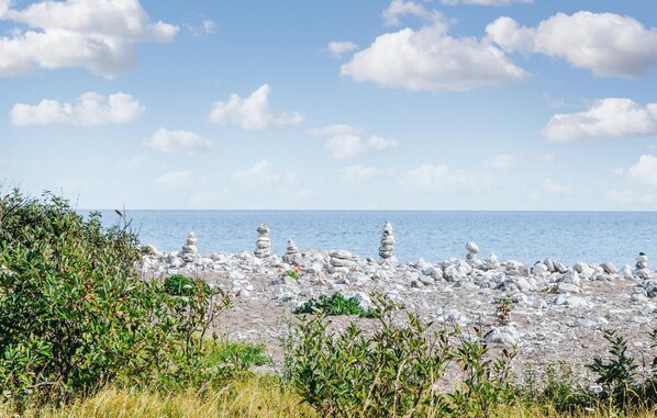 Vlak bij het strand, vissen