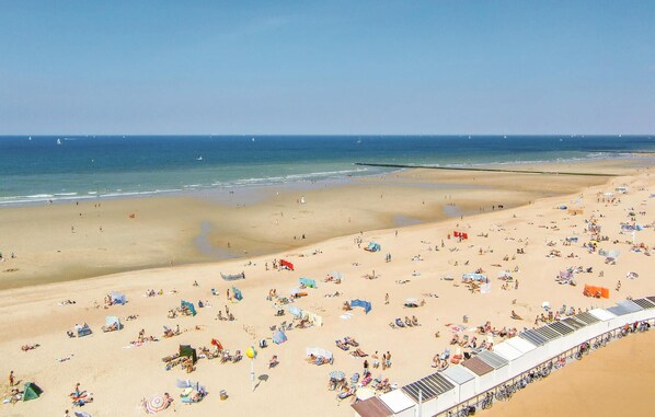 Vlak bij het strand, vissen