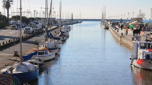 Un puerto deportivo con barcos amarrados a la orilla del agua, un paseo peatonal y un cielo despejado.