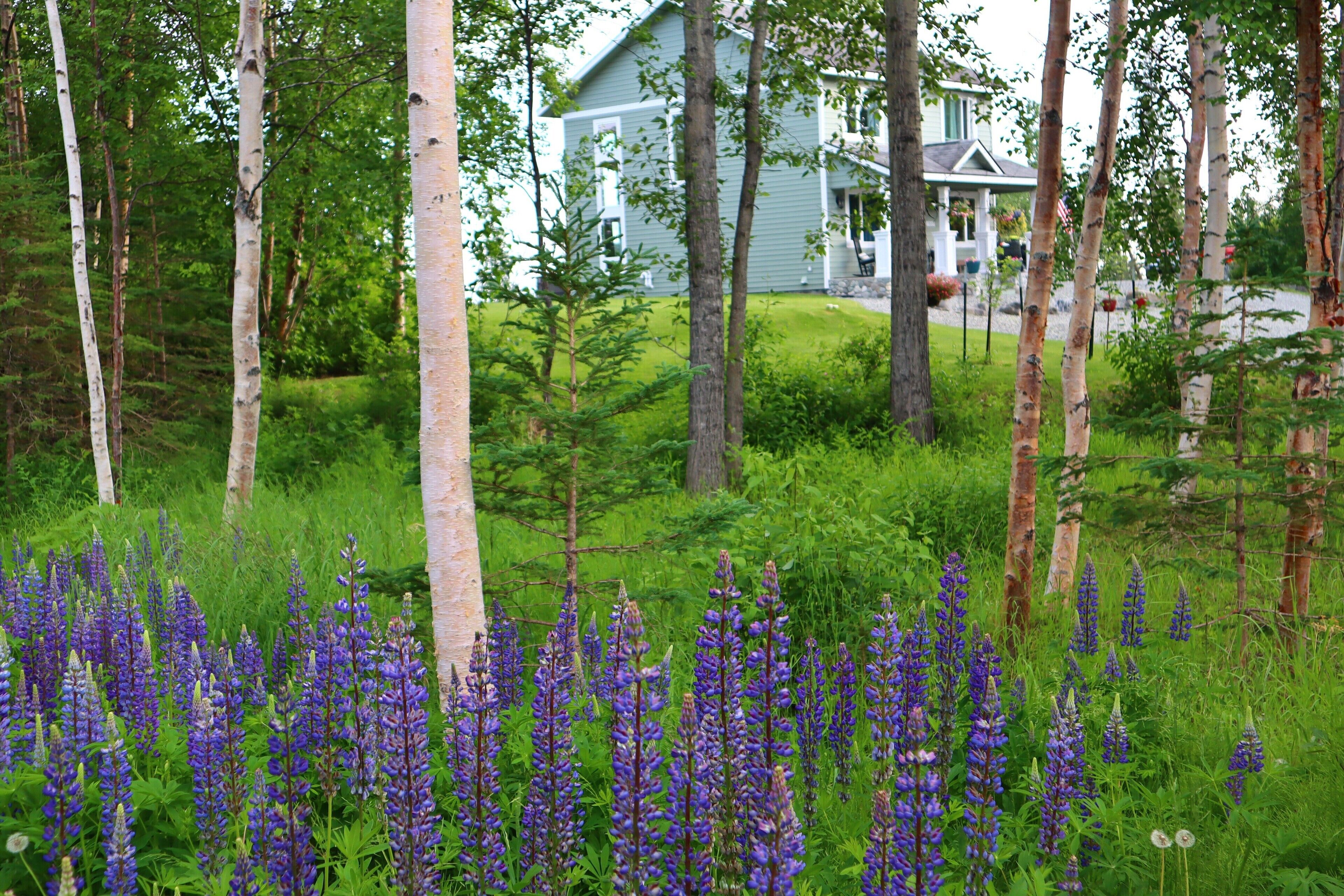 Áreas de la propiedad