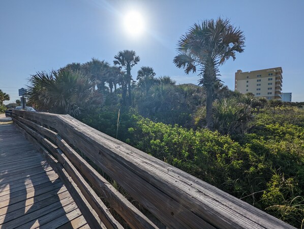 Property grounds - Walk to Beach, Shops and Dinning - Sleeps 8 - Private Patio - Free Parking (New Smyrna Beach)