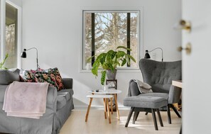 Smart-TV, Kamin