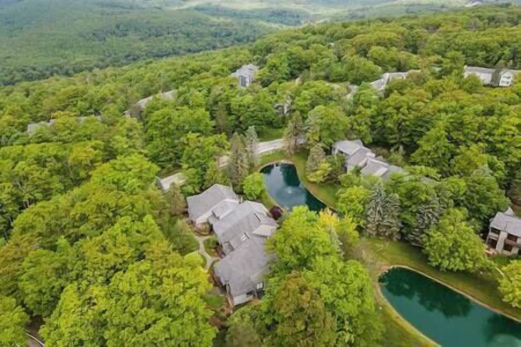 An aerial view of a residential area with houses surrounded by dense greenery and a central pond.