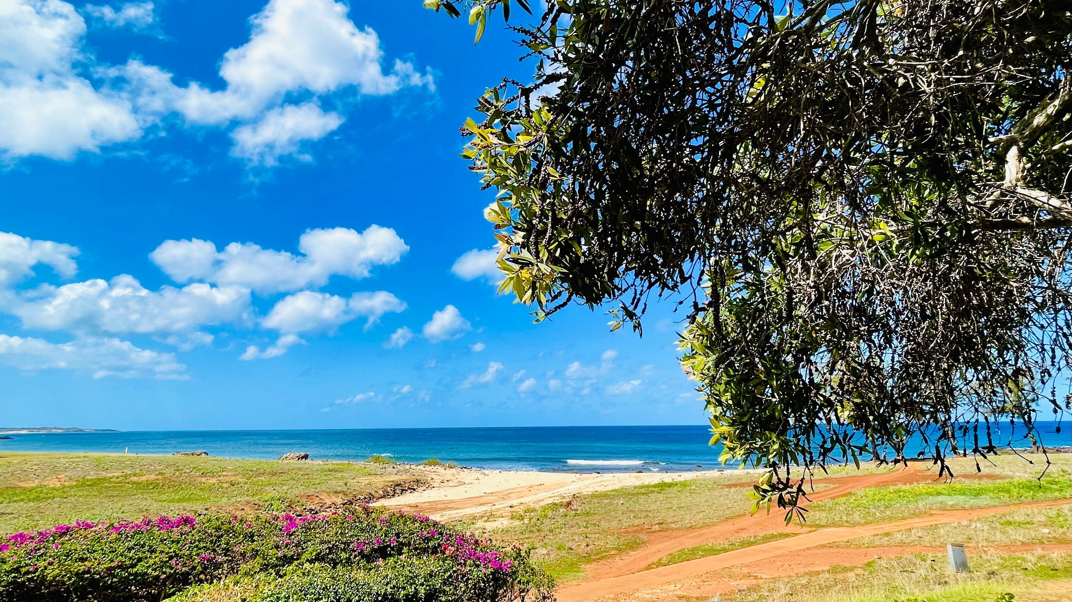  Spacious King studio in Paniolo Hale at Kepuhi Beach with amazing ocean views