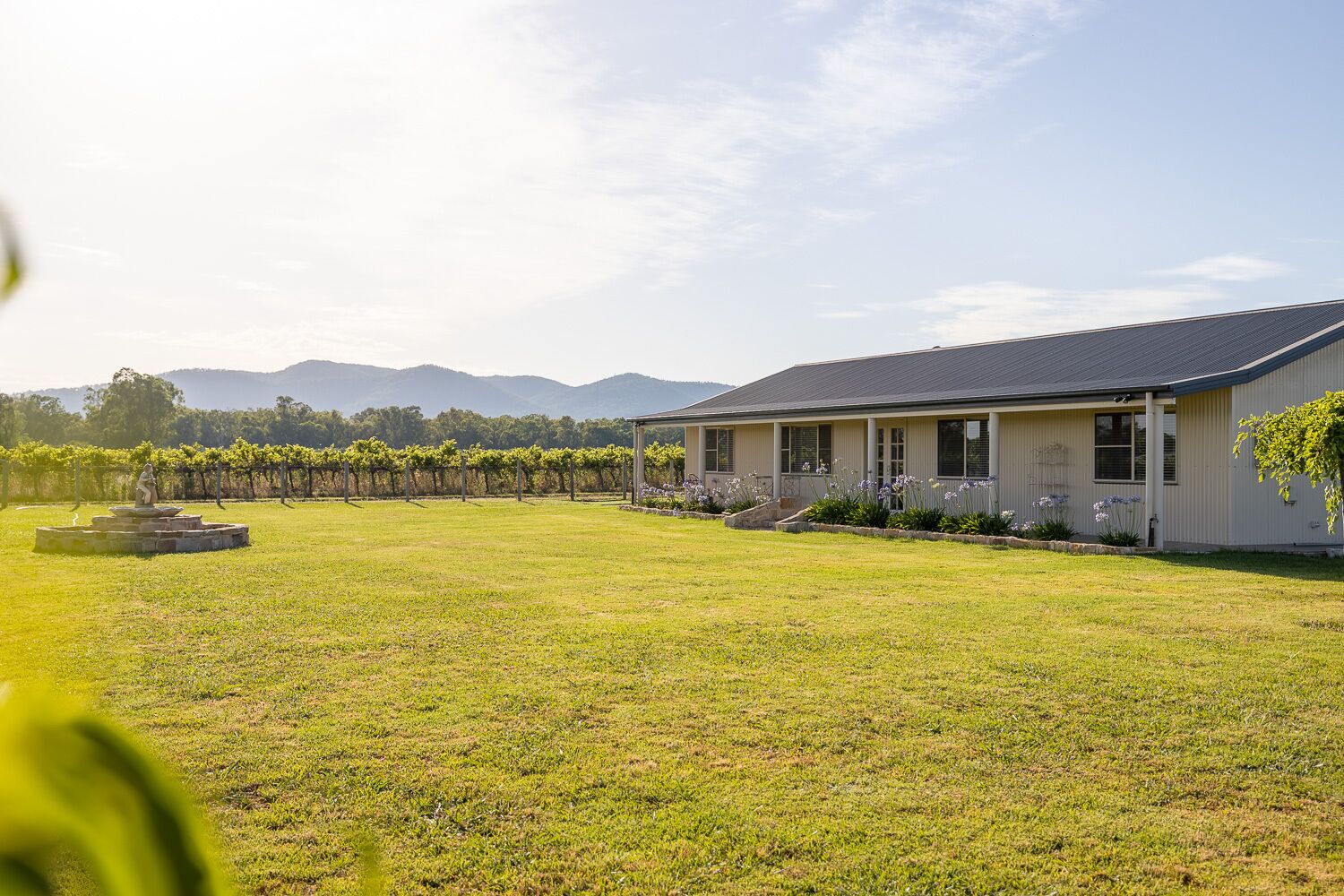 A building with a covered patio, a lawn, and a vineyard in the background.