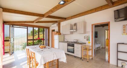 1 bedroom awesome home in Diamante