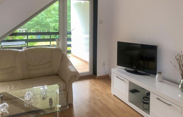 Fernseher, Kamin