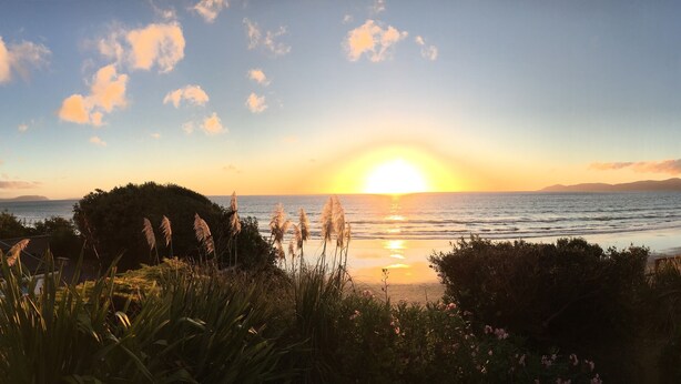 Um pôr do sol sobre uma praia com vegetação em primeiro plano.