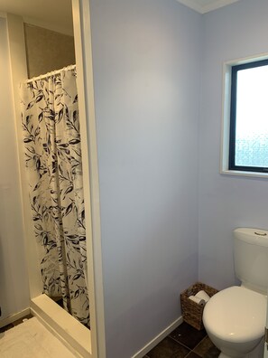 Shower, hair dryer, towels, soap - Ocean view Bach  (Paraparaumu)