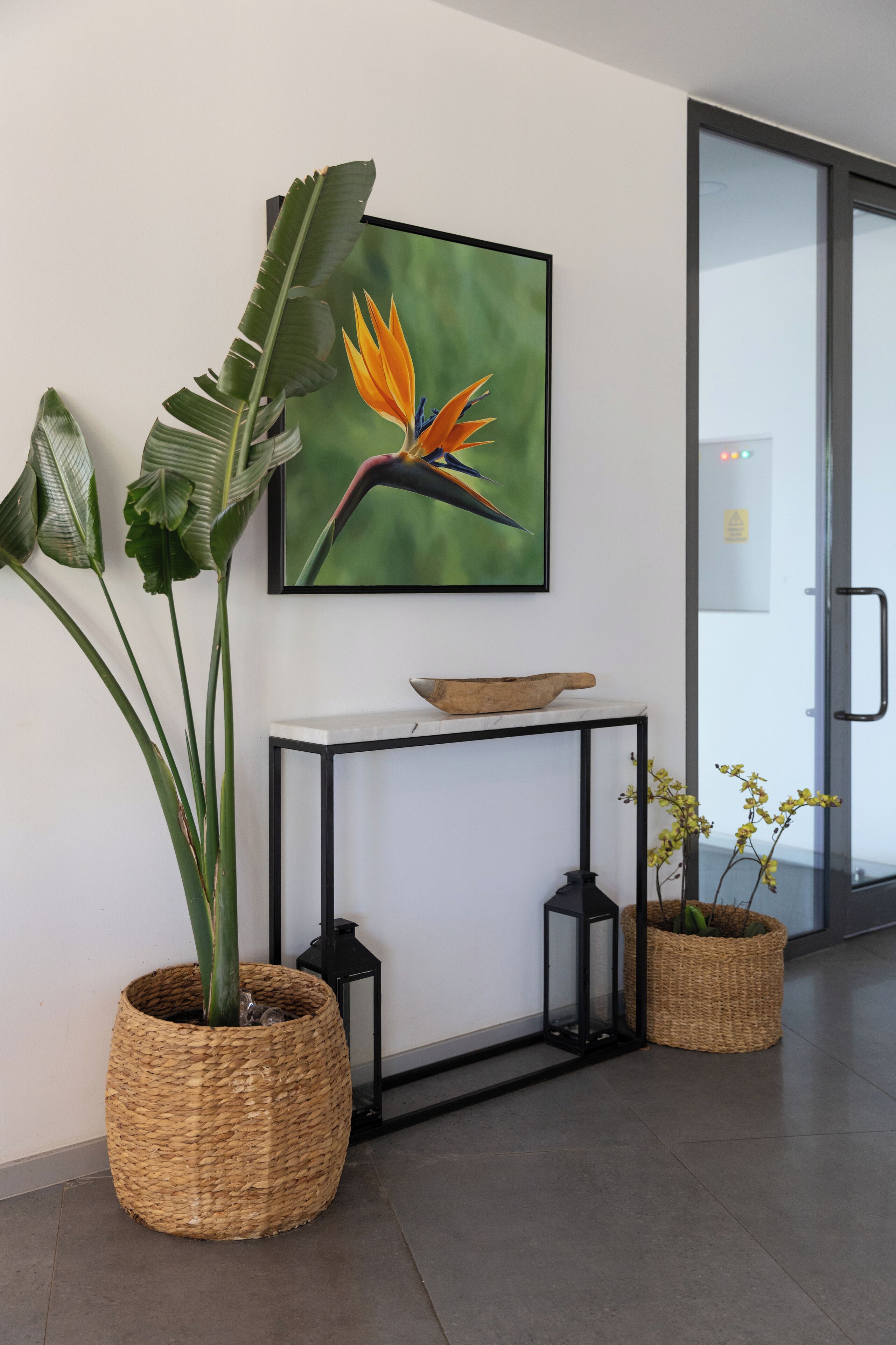Een modern interieur met een witte console tafel, een grote paradijsvogelplant en een rieten mand met gele bloemen.