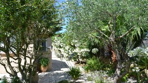 Un jardín con diversas plantas y un sendero de piedra.