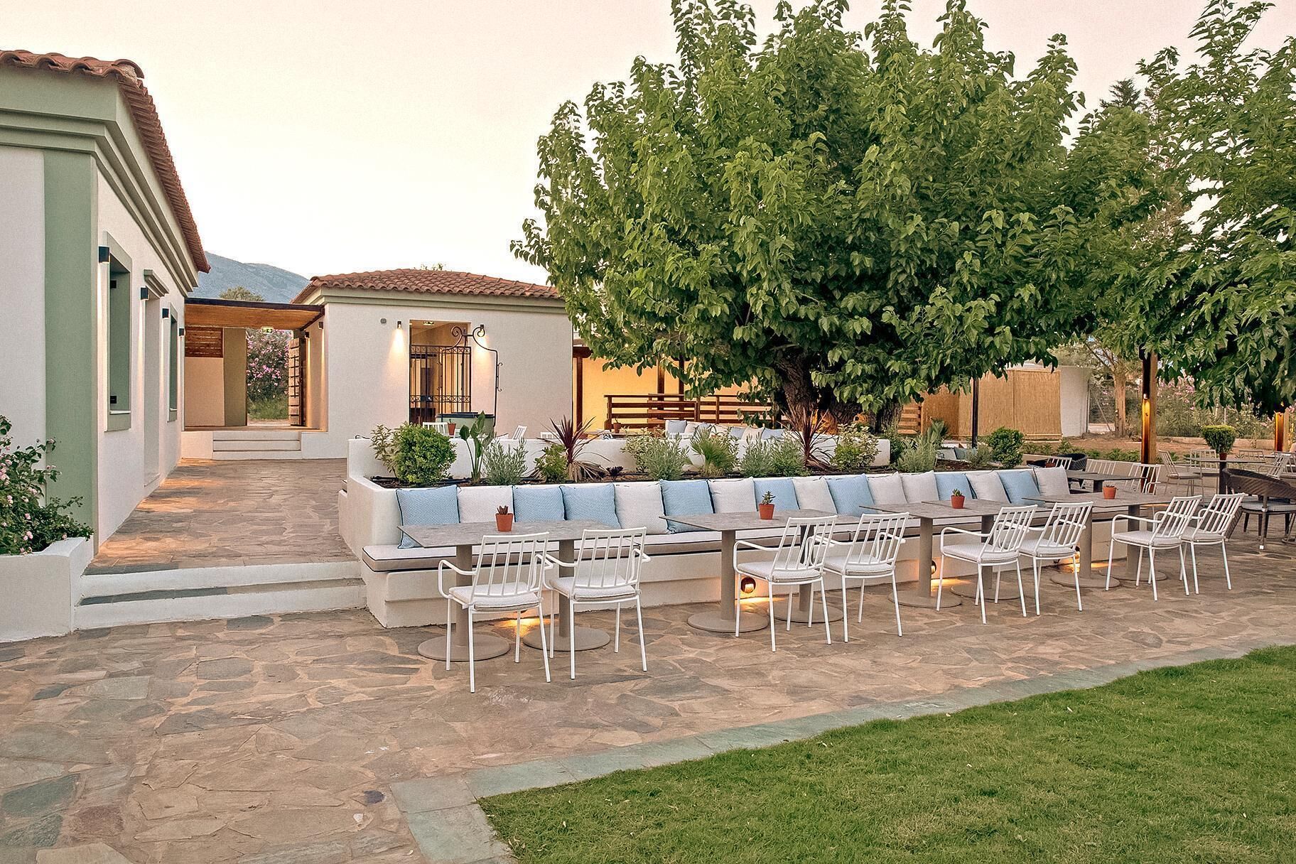 Un patio al aire libre con sillas y mesas blancas, suelo de piedra y un gran árbol que da sombra.