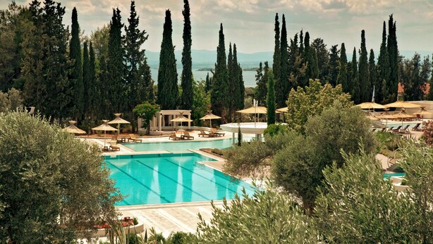 A swimming pool surrounded by tall cypress trees, with lounge chairs and umbrellas. - Zeus Eretria Resort  (Eretria)