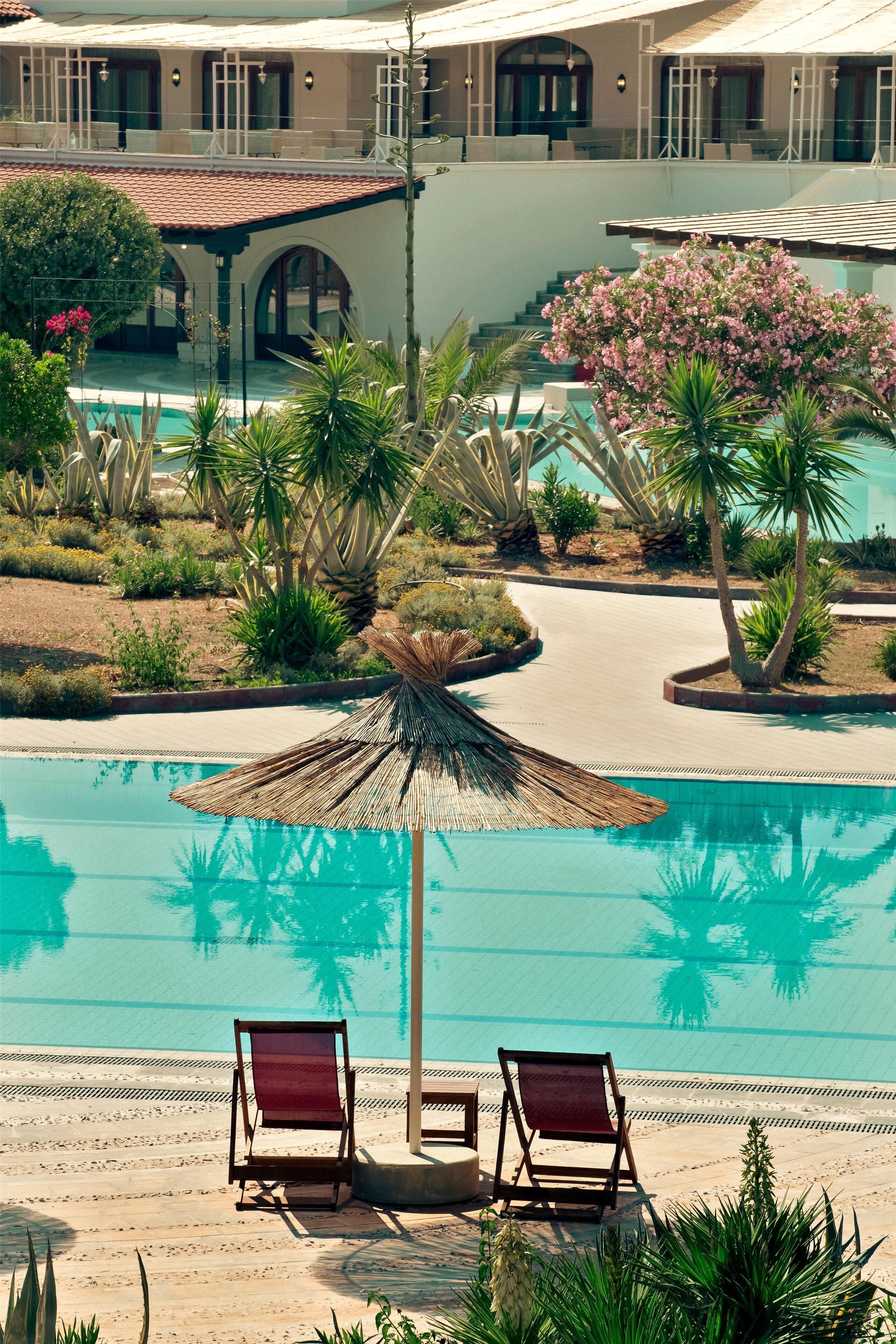 Un área de piscina con dos sillones de descanso, una palmera y un edificio con tejado de baldosas.
