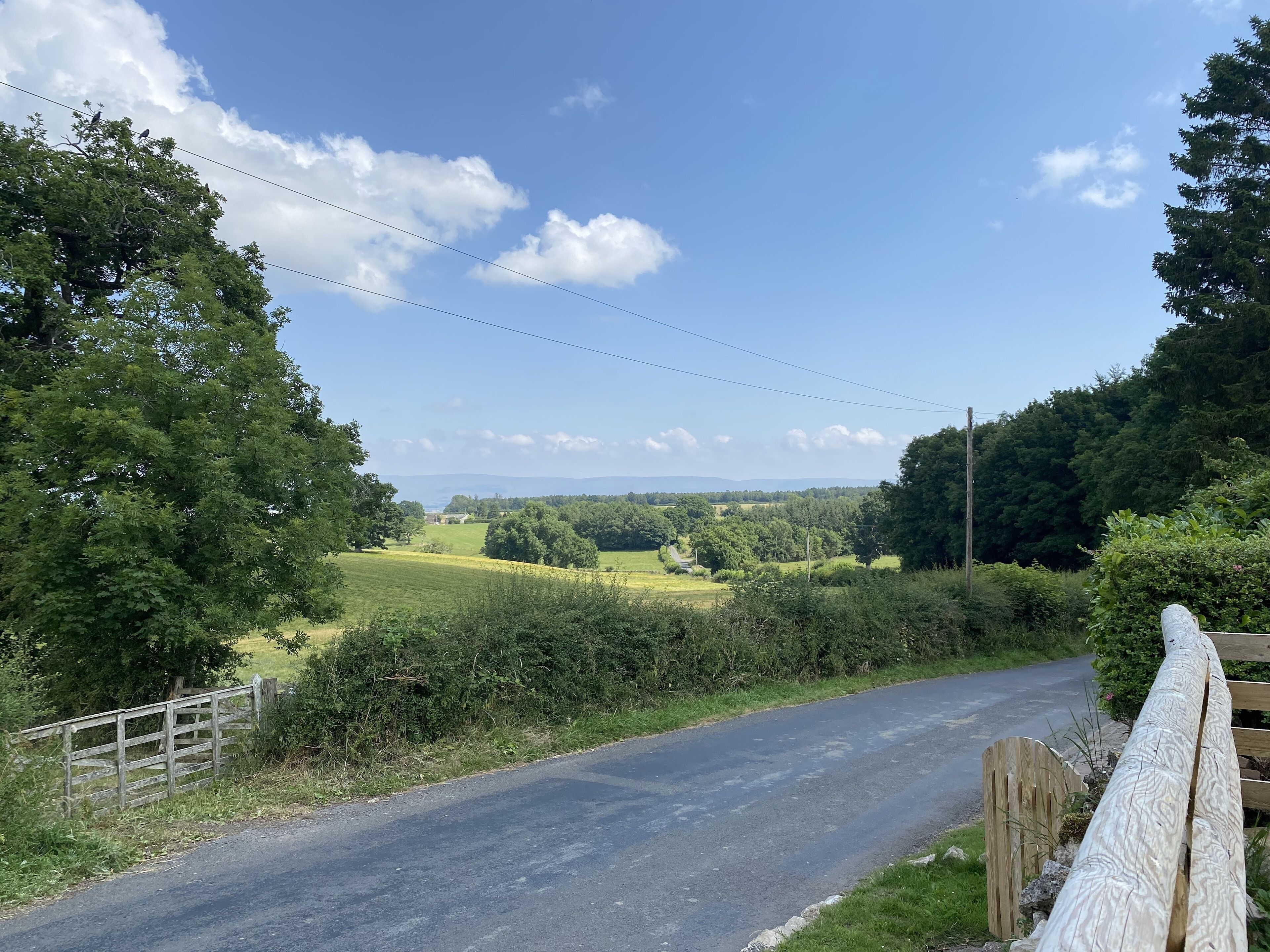 A rural road flanked by trees and a wooden fence.