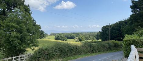 A rural road flanked by trees and a wooden fence.
