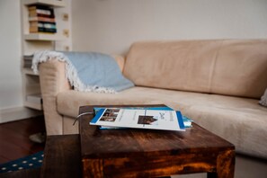 TV, fireplace, books, music library