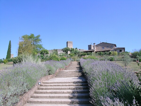 Parco della struttura