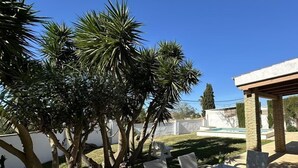 A patio area with a table and chairs, surrounded by trees and a stone wall. - Villas Atlantico Sur (Conil de la Frontera)