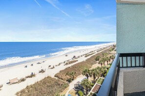 A beach view from a balcony with a clear sky, sandy beach, and palm trees.