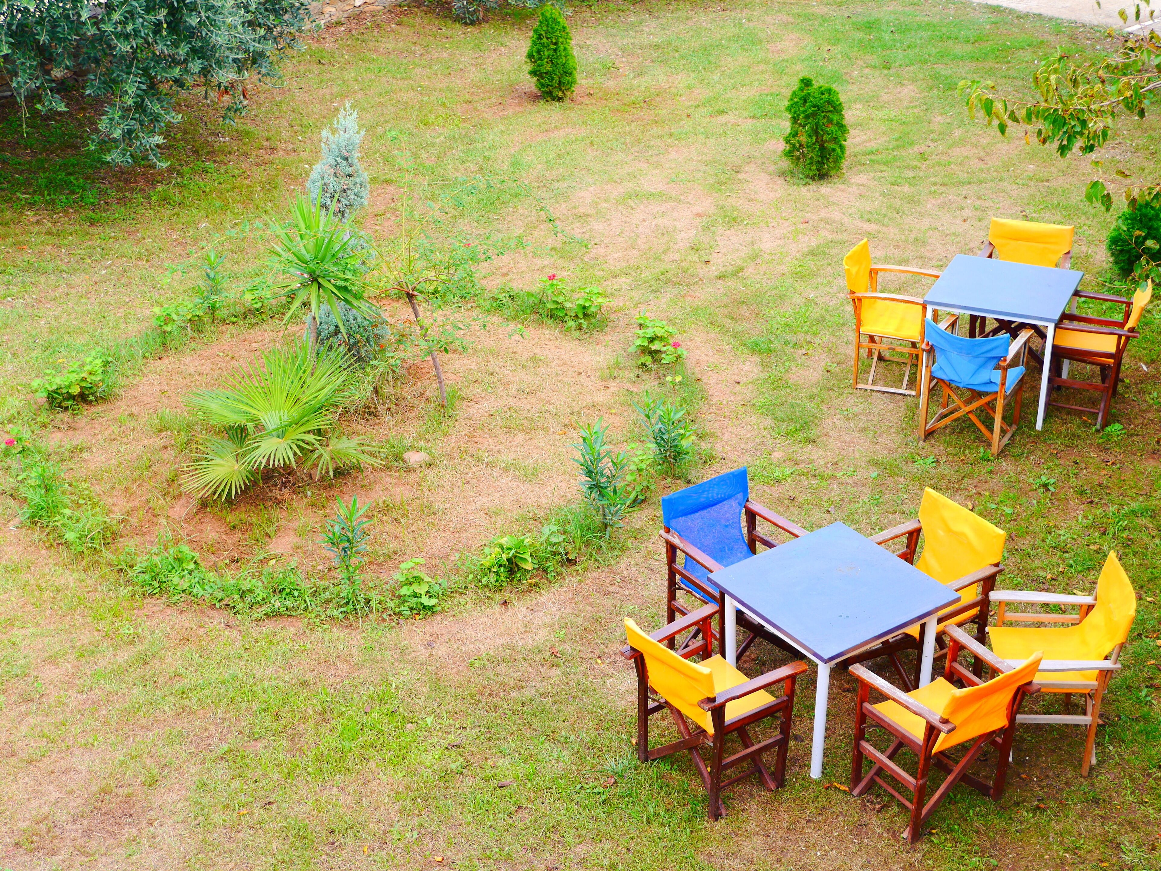 A garden with a table and chairs, surrounded by various plants and a small tree.