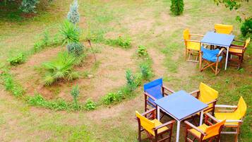 A garden with a table and chairs, surrounded by various plants and a small tree.