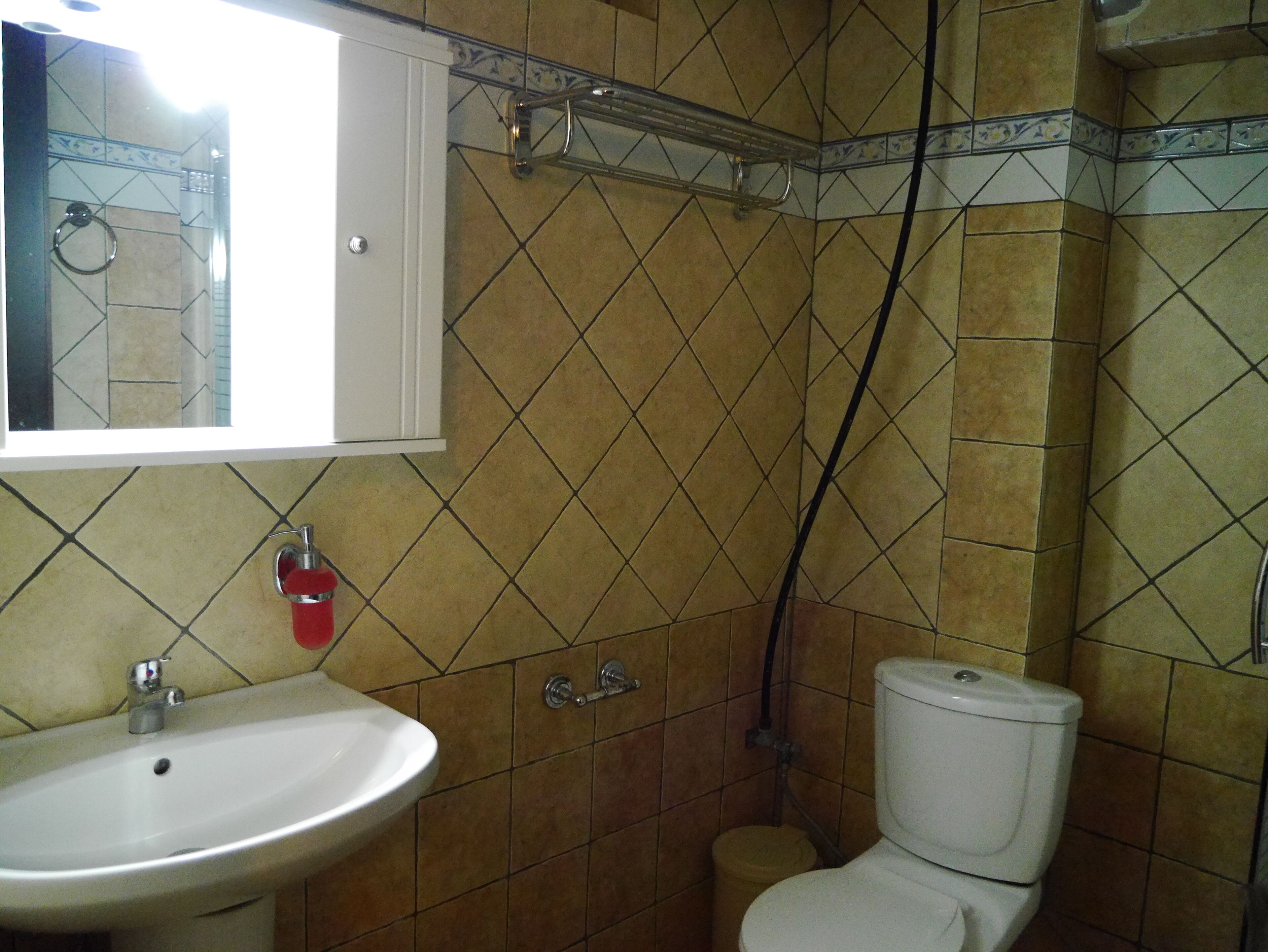 Een badkamer met een wastafel, toilet en een spiegel boven de wastafel.